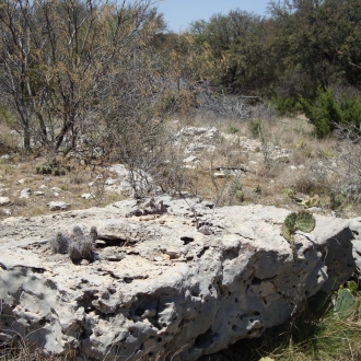 TweedyRanch (46)